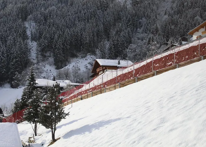 Pluenggas Гашум